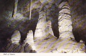 Hall Of Giants Carlsbad Caverns National Park New Mexico