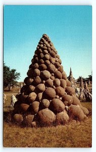 PETRIFIED WOOD PARK, SD South Dakota ~ c1950s Rock CANNONBALL PYRAMID  Postcard