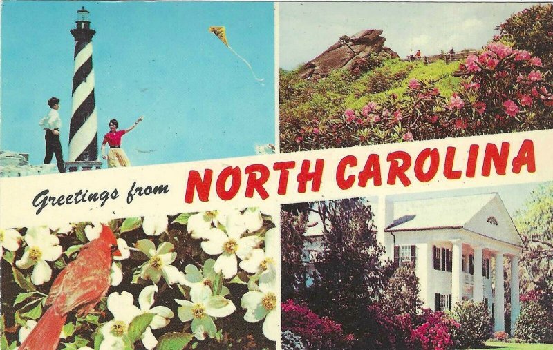 Vintage postcard, Greeting from North Carolina 