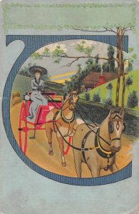 Woman in Horse Carriage Vintage Postcard AA220