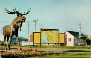 Dryden ON Moose Patricia Regional Tourist Bureau c1960s Postcard G36