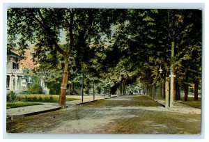 1908 Ocean St. From Wave Street Trees Lynn Massachusetts MA Antique Postcard 