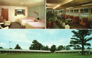 Vintage Postcard Pines Motel Restaurant US Highway Opelika AL Alabama