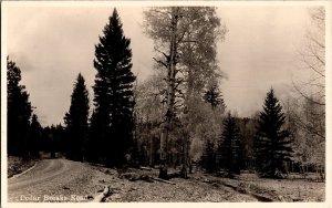 RPPC Cedar Breaks Road, Cedar Breaks National Monument UT Vintage Postcard P69