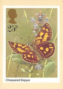 Checquered skipper, stamp Butterflies Unused 