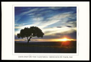 Days End on the Taos Mesa