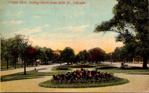 Illinois Chicago Drexel Boulevard Looking North From 46th Street 1910