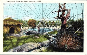 Postcard PARK SCENE Houston Texas TX AI2269