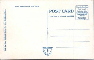 Postcard ROAD SCENE Cape Cod Massachusetts MA AM6114