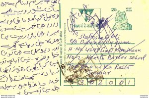 India Postal Stationery Tiger 25 to Jaipur