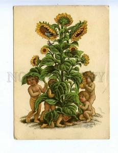 201788 ELF sunflowers Emil Ernst HEINSDORFF vintage postcard