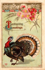 Thanksgiving Wishes With Turkey