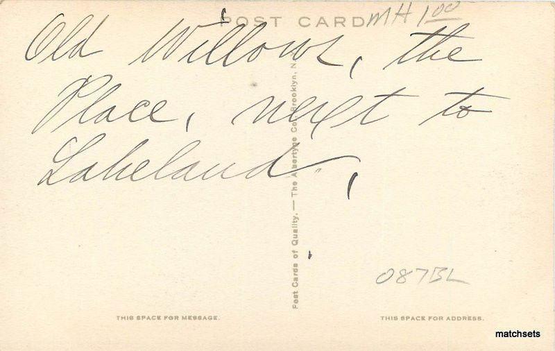 c1910 Albertype Cazenovia New York Willows Bank postcard 12159