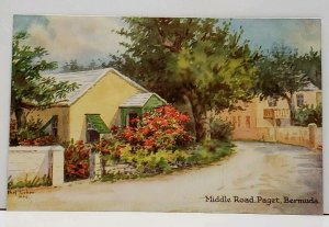 Bermuda Artist Signed Ethel Tucker, Middle Road Paget Postcard E4