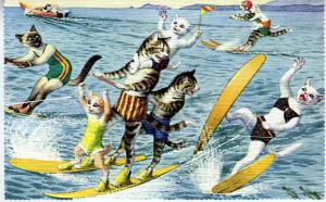 Alfred Mainzer - Cats Water Skiing At The Lake