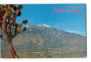 Palm Springs California CA Vintage Postcard Base of Mt San Jacinto