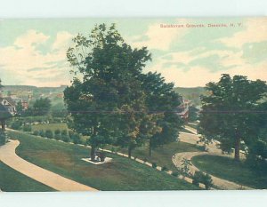 Divided-back SANATORIUM GROUNDS Dansville by Bath & Hornell & Geneseo NY AD7474