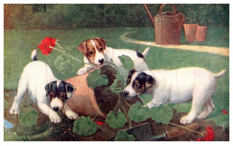 Dog   ,Puppies playing with Plant