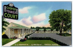 c1950s Cooper Tourist Court US Highway 36 Tuscola Illinois IL Postcard 