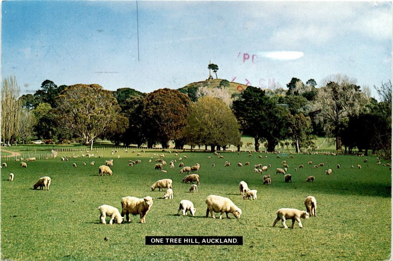 Auckland, New Zealand, One Tree Hill, Cornwall Park, North Island, Postcard