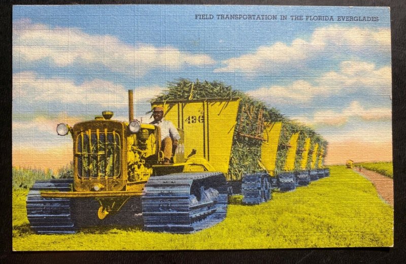 Mint Color Picture Postcard Black Americana Field Transportation In The Florida