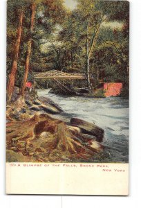 New York City NY Postcard 1907-1915 Bronx Park Glimpse of the Falls