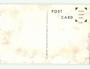 Pre-1980 POST OFFICE SCENE Louisburg North Carolina NC hs1459