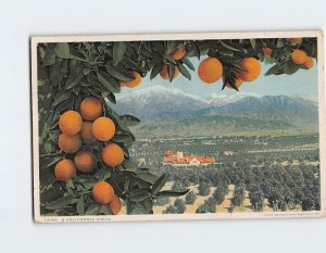 Postcard A California Vista California USA