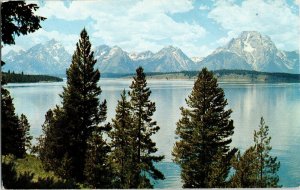Teton Range Jackson Lake WYO Ektachrome Harrison Crandall Vintage Postcard Vtg 