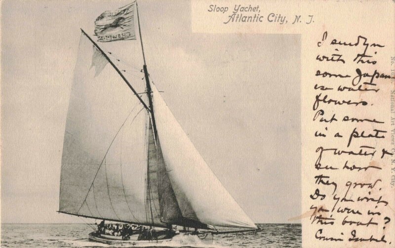 Circa 1904 Sloop Yachet w/ Men Sailing, Atlantic City, N.J. ~ Howland