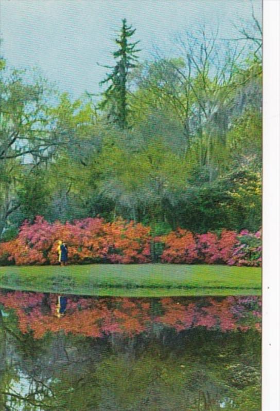 South Carolina Charleston Magnolia Gardens