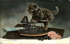 Tuck Kittendom Gray Kitten Old-Fashioned Early Scale c1910 Vintage Postcard