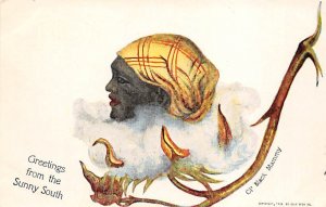 Greetings from the Sunny South Postcard