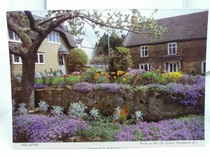 Vintage Postcard Hallaton Village in Bloom Photo by Mrs M Duffey Whetstone WI