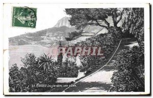 Old Postcard Monaco Gardens an allee