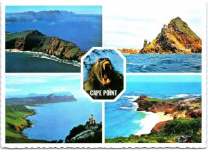VINTAGE POSTCARD CONTINENTAL SIZE MULTiPLE SCENES OF CAPE POINT SOUTH AFRICA