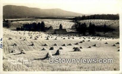 Real Photo - Harvest Time - Moscow, Idaho ID