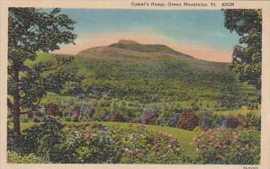 Vermont Green Mountains  Camels Hump