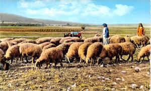 Ablah, Lebanon Postcard, Carte Postale non postcard backing, Dated 4-12-1966 ...