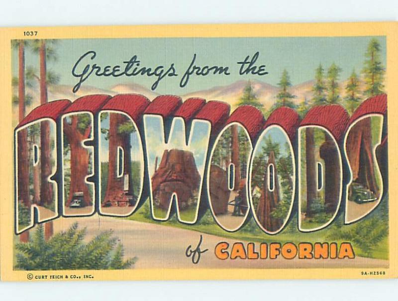 Linen REDWOODS TREES IN BIG LETTERS State Of California CA ho6955-12