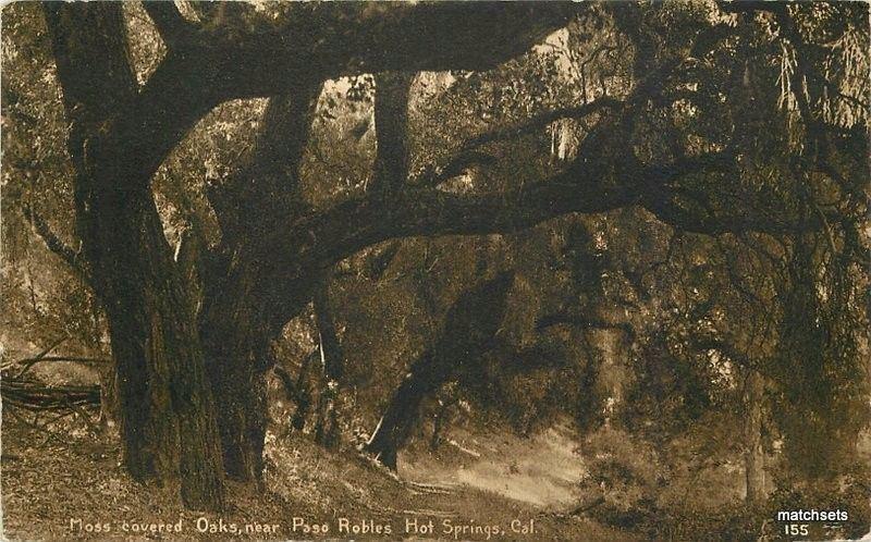 1912 Moss Oak Paso Robles Hot Springs California postcard 970