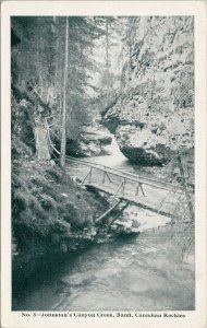 Johnston's Canyon Creek Banff Alberta AB Unused Novelty Co Postcard G77