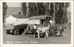 Covered Wagon Mule Train 51 Model YELLOWSTONE PETE Real Photo Postcard