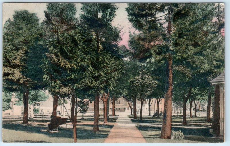 EUGENE, Oregon  OR   Handcolored  THE PLAZA   1908  Rieder Postcard