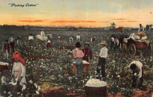 PICKING COTTON UNCLE TOM'S CABIN BLACK AMERICANA POSTCARD (c. 1910)