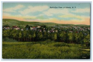 c1940's Bird's Eye View of Liberty Trees New York NY Vintage Unposted Postcard