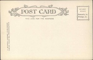 Harveys Harvey's Lake PA Road Scene c1905 Postcard