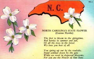 N.C. North Carolina's State Flower (Cornus Florida) - in the 1940s -