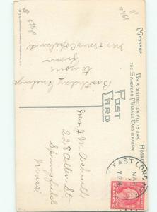 Divided-Back BIRDS SCENE Pretty Postcard AA8868