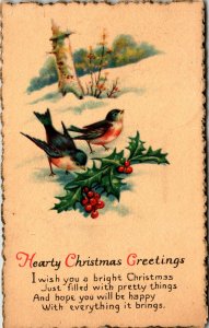 Christmas Greetings Birds Holly Scene BIN